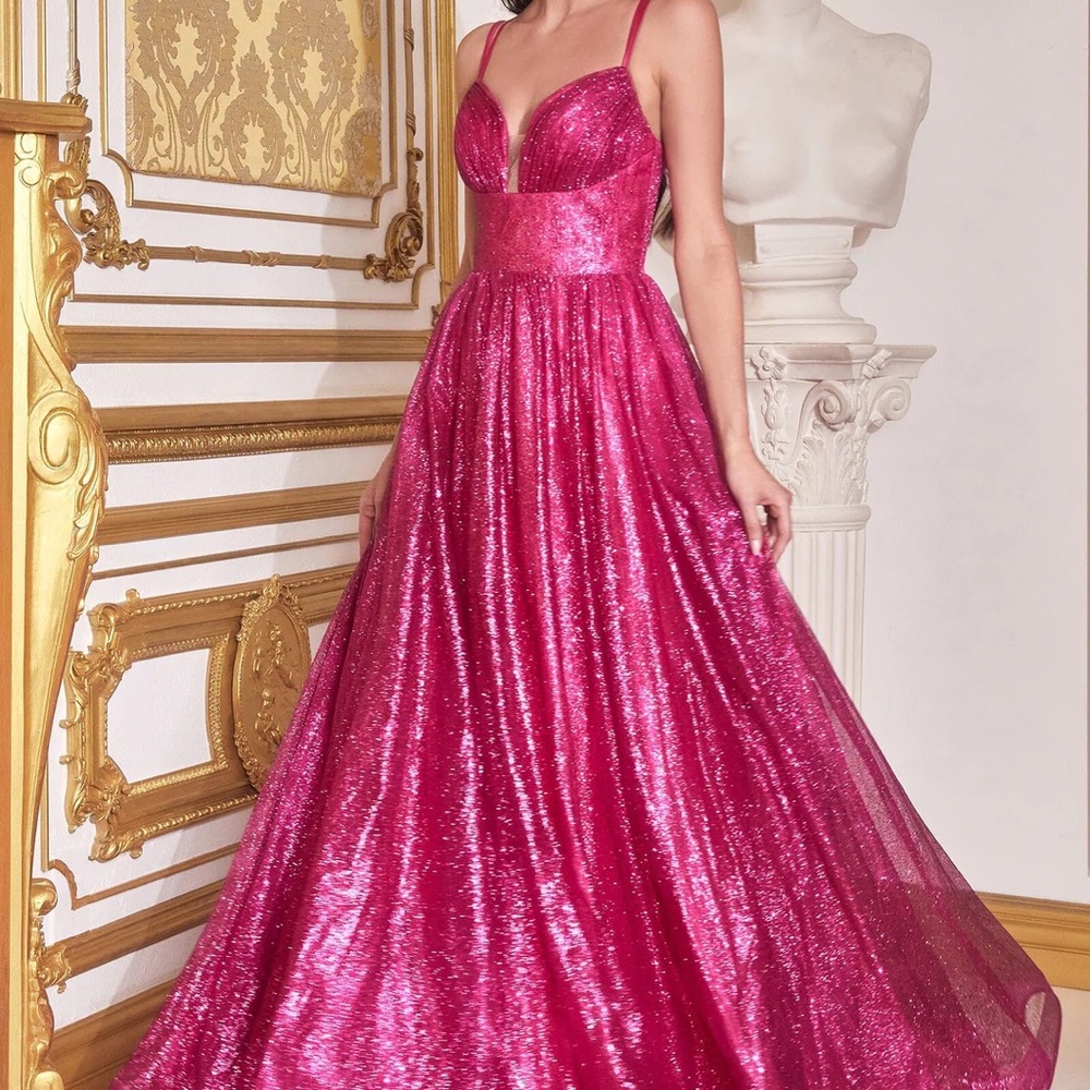 Sleeveless Glitter Ball Gown by Ladivine CD996
fuchsia size 2